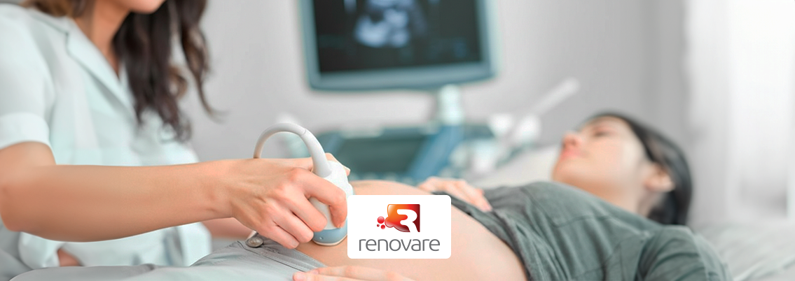 diferença entre sexagem fetal e ultrassom